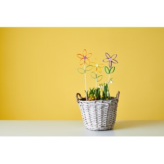 Blomst av dorull/papprull