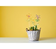 Blomst av dorull/papprull