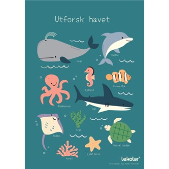 Utforsk havet