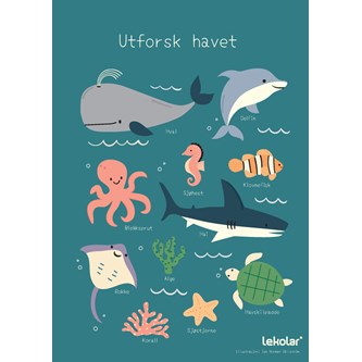 Utforsk havet