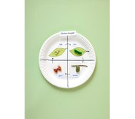 Sommerfuglens livssyklus