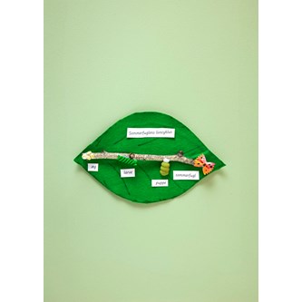 Sommerfuglens livssyklus med pasta