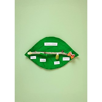 Sommerfuglens livssyklus med pasta