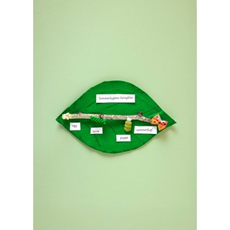 Sommerfuglens livssyklus med pasta