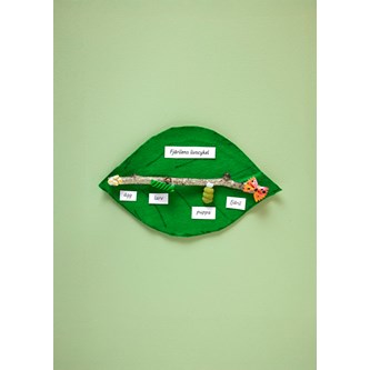 Sommerfuglens livssyklus med pasta