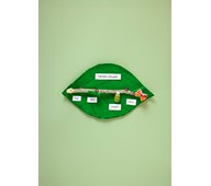 Sommerfuglens livssyklus med pasta