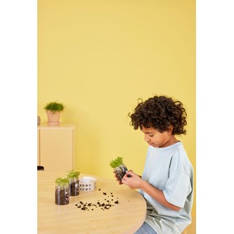 Vårdyrking med karse