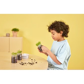 Vårdyrking med karse