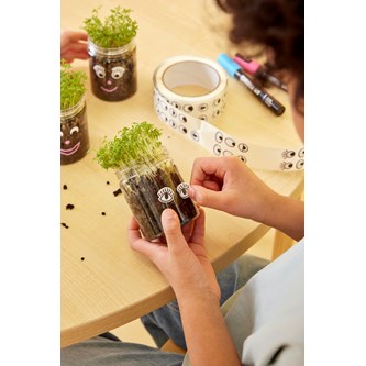 Vårdyrking med karse