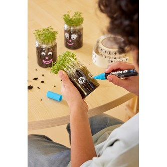 Vårdyrking med karse