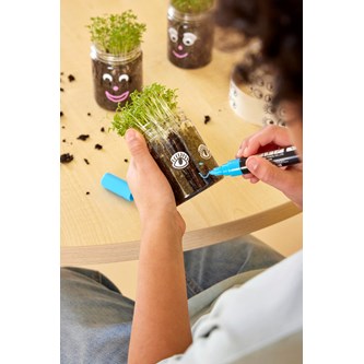 Vårdyrking med karse