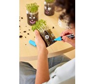 Vårdyrking med karse